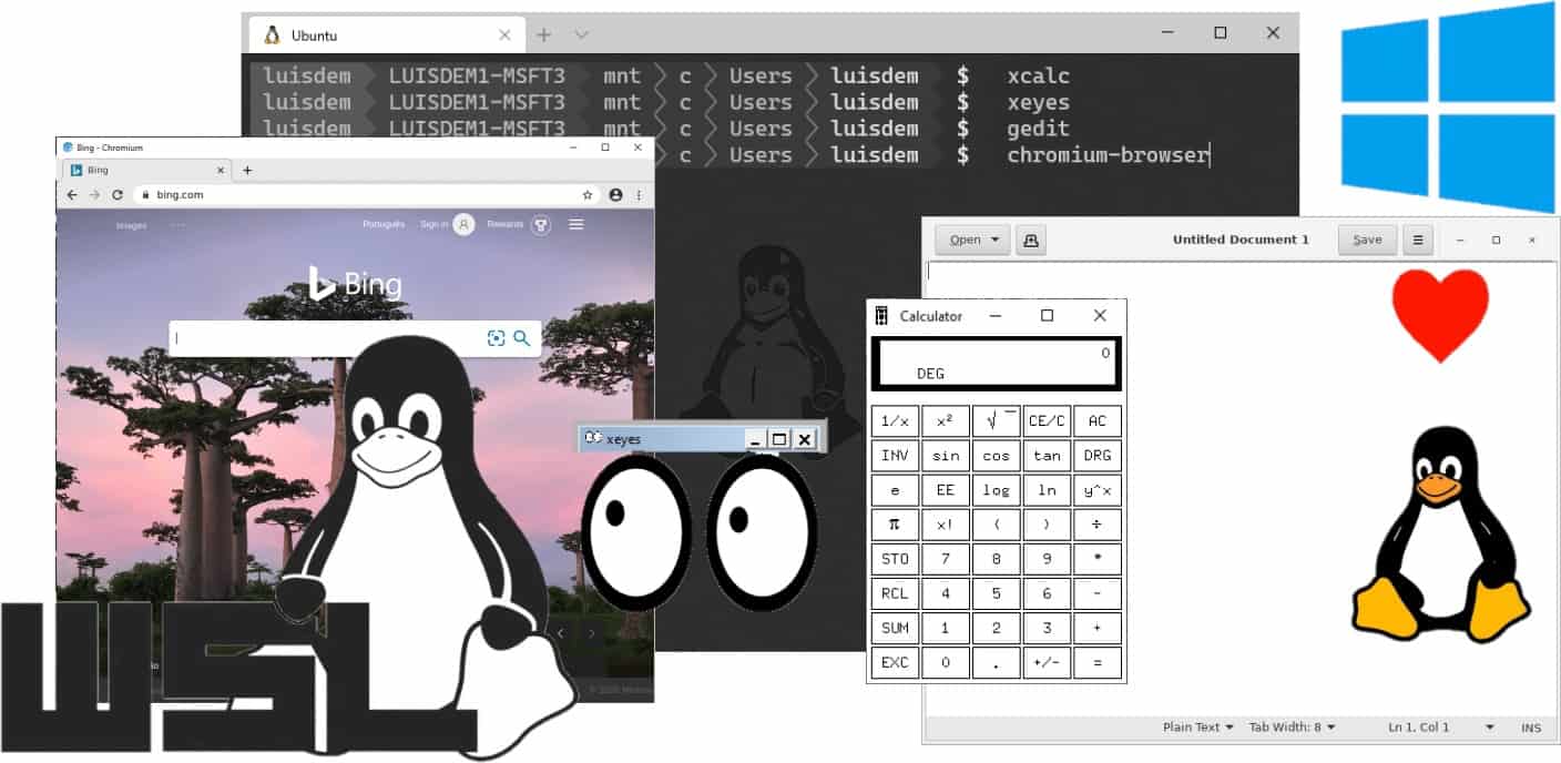 Aplicativos gráficos do Linux chegam ao Windows SubSystem for Linux