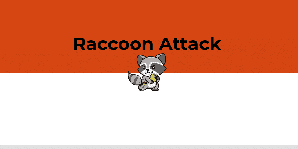 Ataque Raccoon permite que os hackers quebrem a criptografia TLS