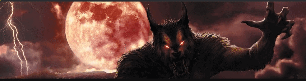 Pale Moon 28.15 chega com melhorias para CSS