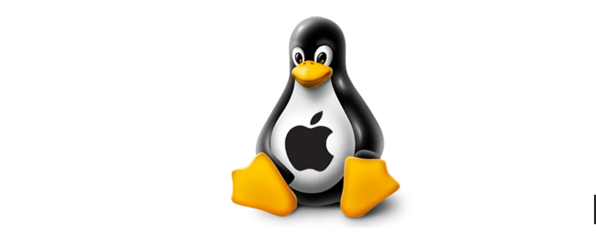 Desenvolvedor da FNA Ethan Lee afirma que vai investir no Linux