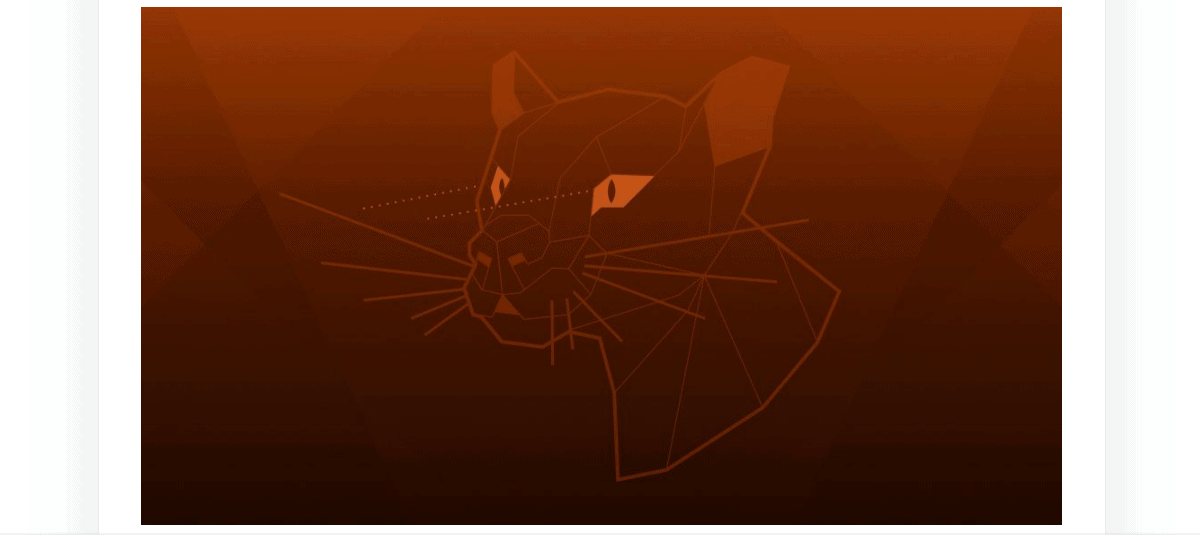 Ubuntu Cinnamon Remix 20.04.2 ‘Focal Fossa’ lançado