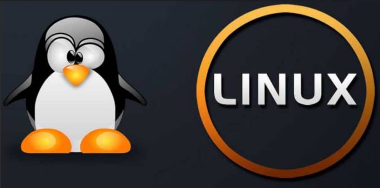 google-financia-aumento-da-seguranca-do-kernel-do-linux