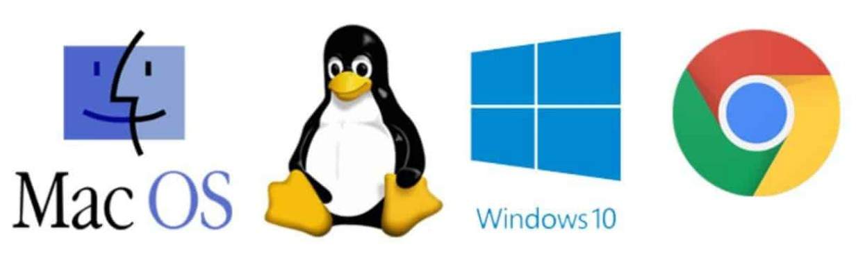 Cai participação do Windows e Chrome OS desbanca Linux e macOS