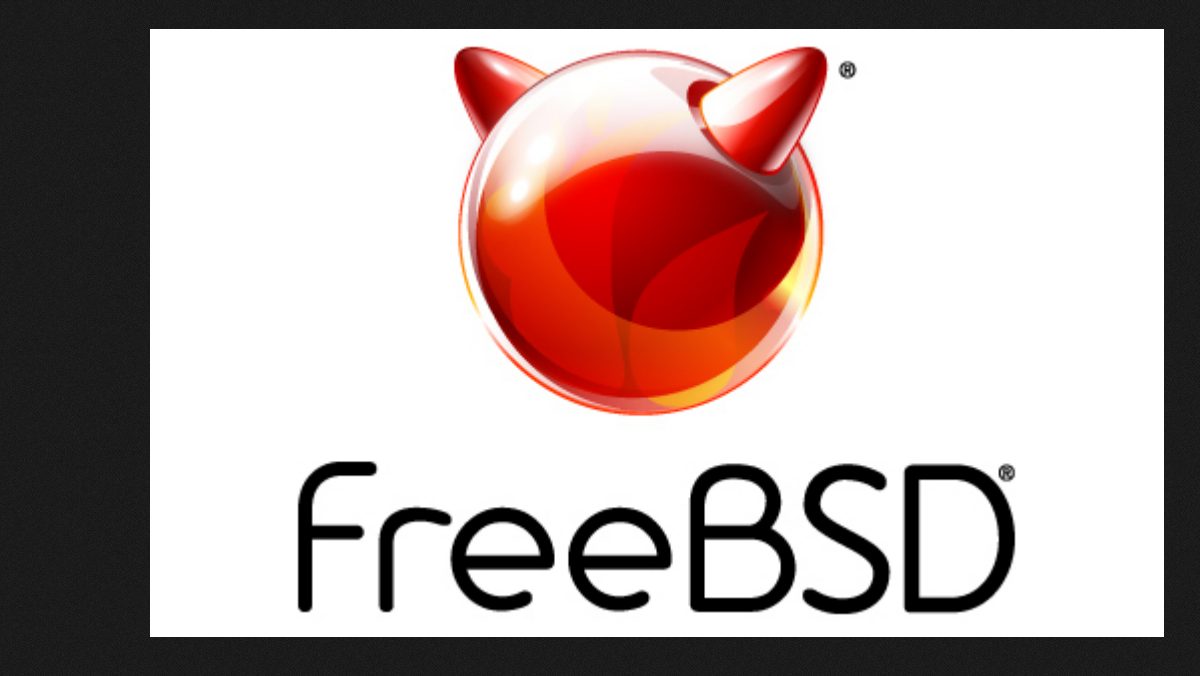 FreeBSD 14 se aproxima do lançamento com suporte para até 1024 núcleos de CPU e drivers atualizados