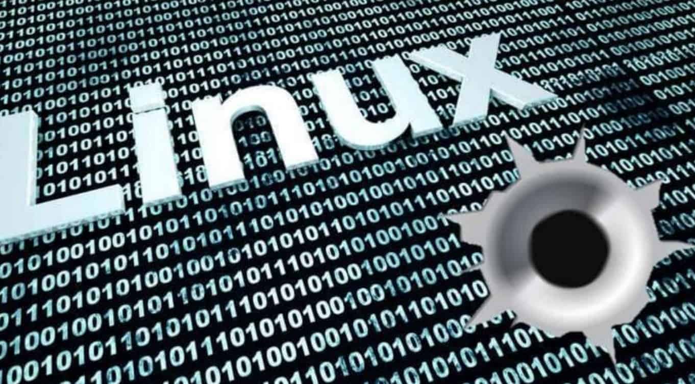 Linux 5.13-rc7 lançado após uma semana muito calma