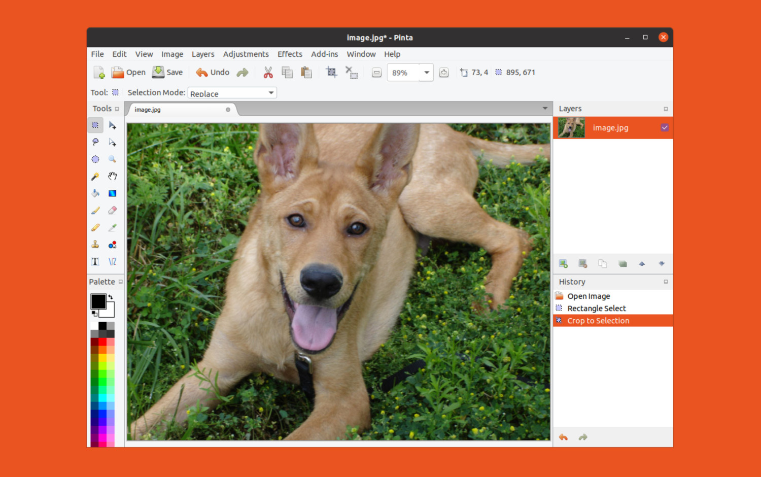 como-instalar-o-pinta-um-app-de-desenho-no-ubuntu-linux-mint-fedora-debian
