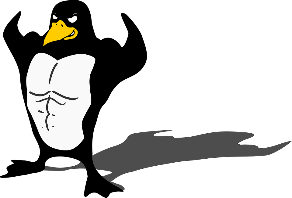 linux kernel