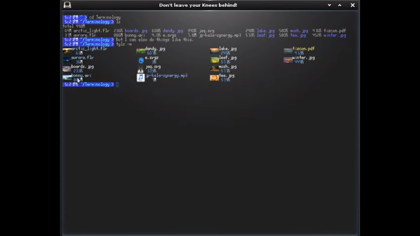 como-instalar-o-terminology-um-emulador-de-terminal-no-ubuntu-linux-mint-fedora-debian