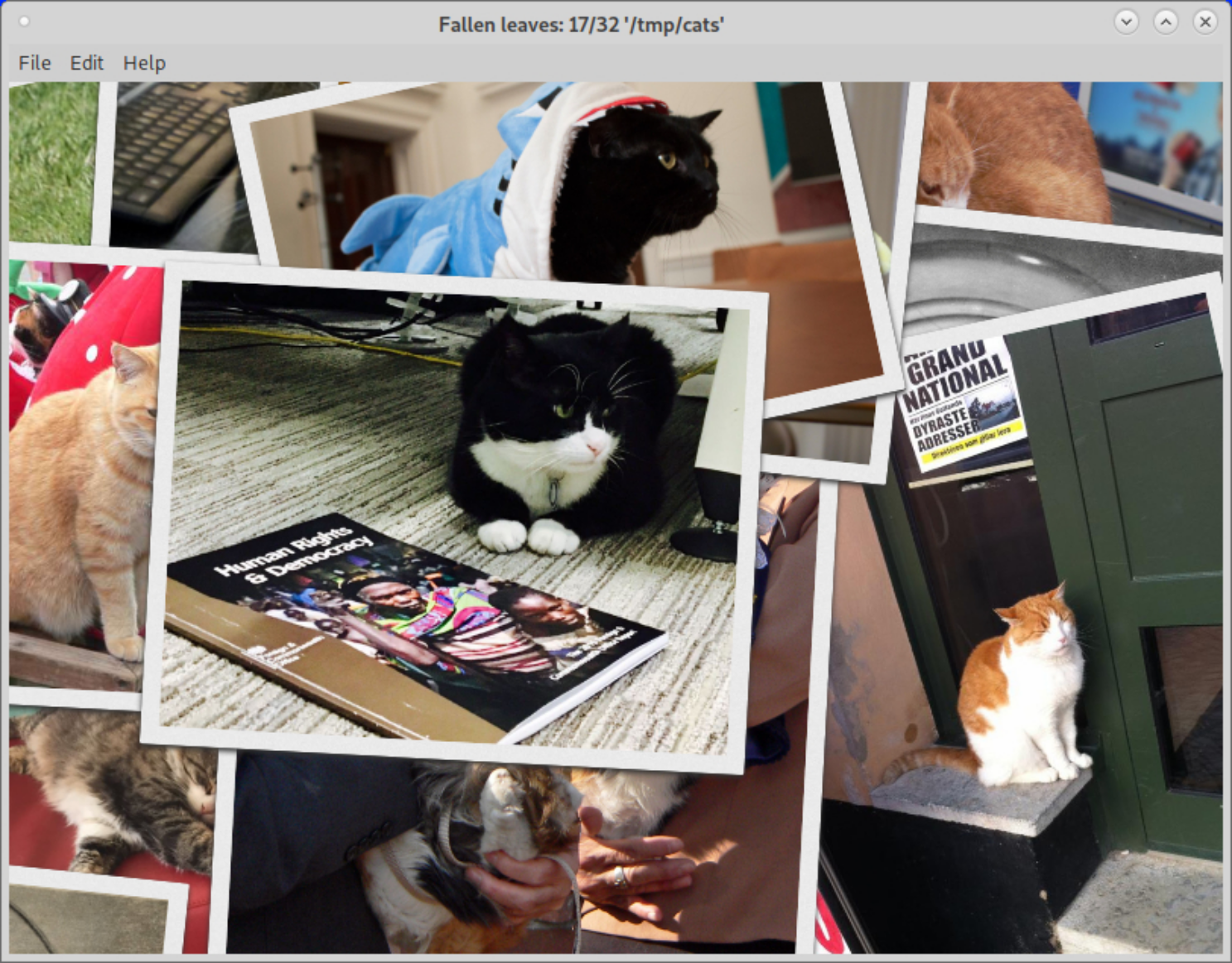 como-instalar-o-fallen-leaves-um-visualizador-de-slides-no-ubuntu-linux-mint-fedora-debian