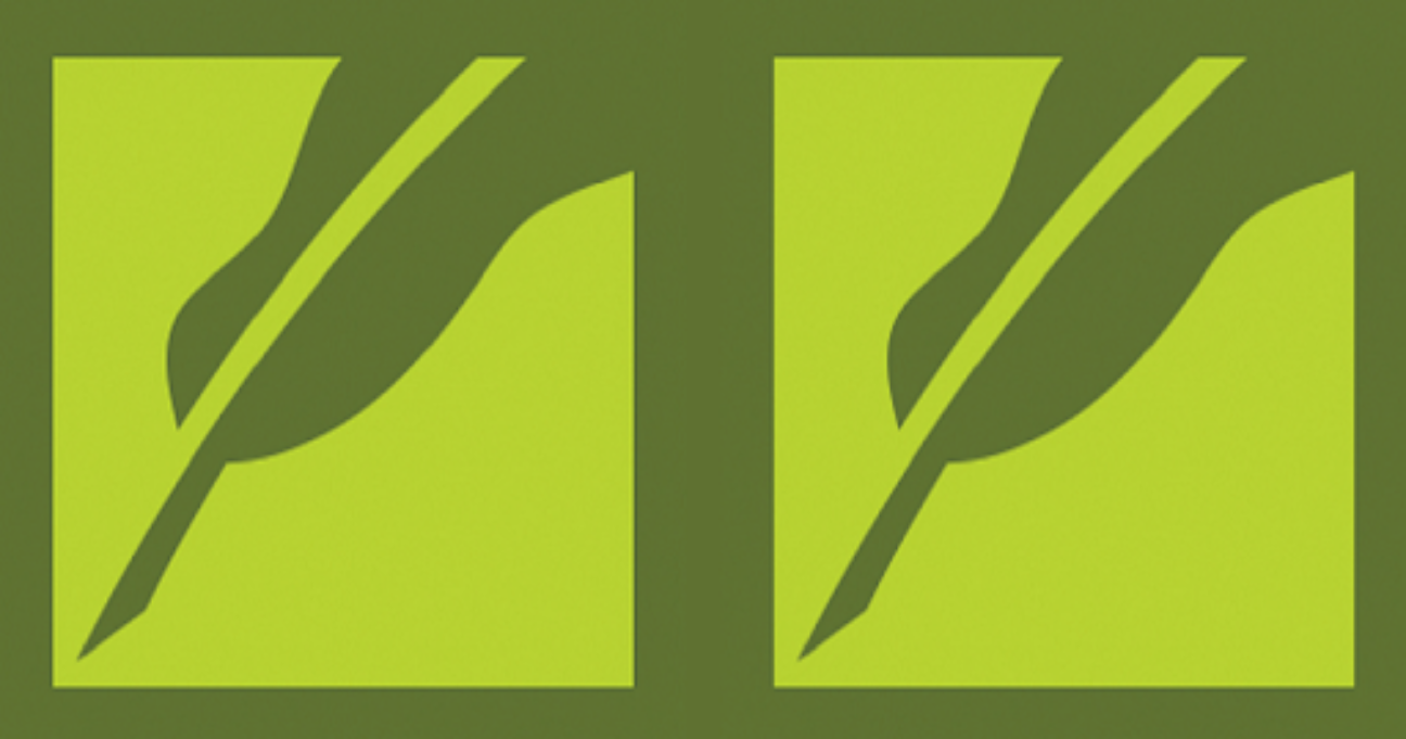 como-instalar-o-paratext-lite-um-cliente-paratext-no-ubuntu-linux-mint-fedora-debian