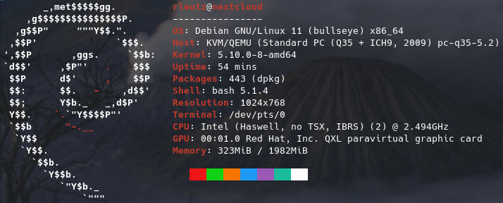 Update debian 10(buster) para debian 11(bullseye)