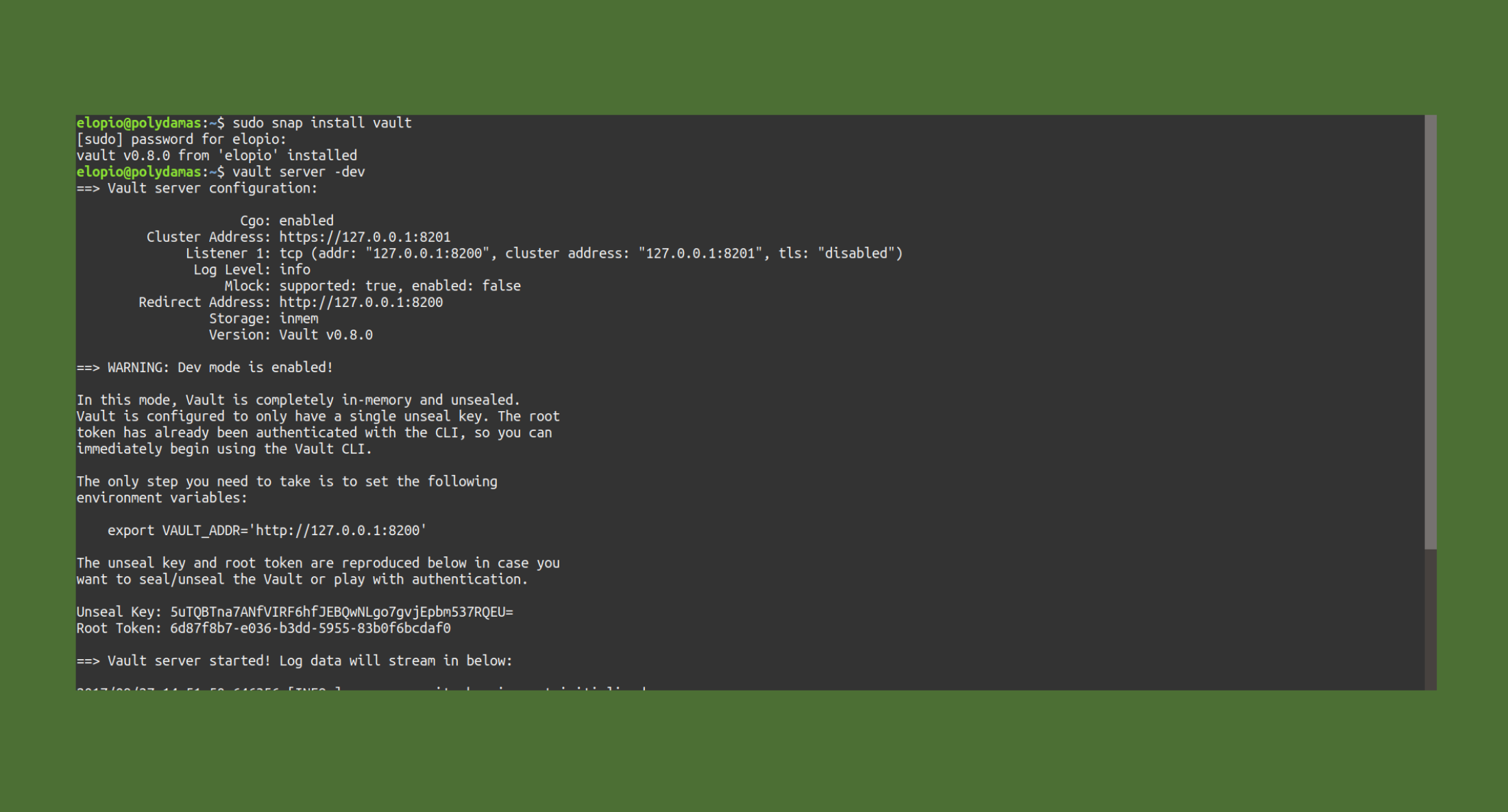 como-instalar-o-vault-um-cofre-para-seus-segredos-no-ubuntu-linux-mint-fedora-debian