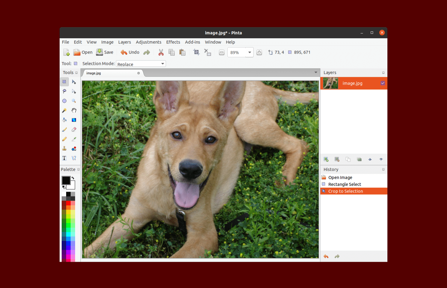 Software de desenho e edição de imagens Pinta ganha atualização