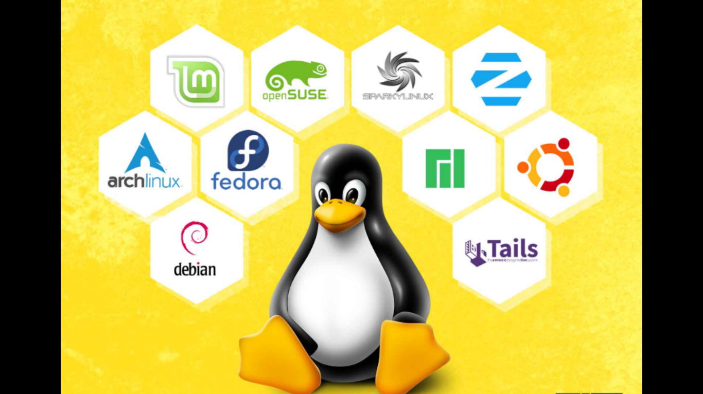 Distrobox 1.6 facilita lançamento de novas distribuições em seu terminal