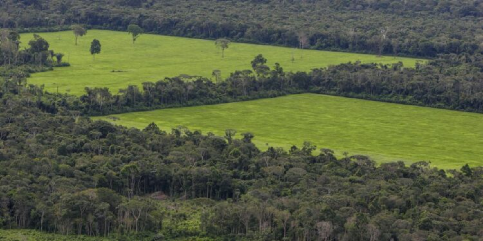 facebook-tenta-impedir-a-venda-de-terras-da-floresta-amazonica-em-sua-plataforma