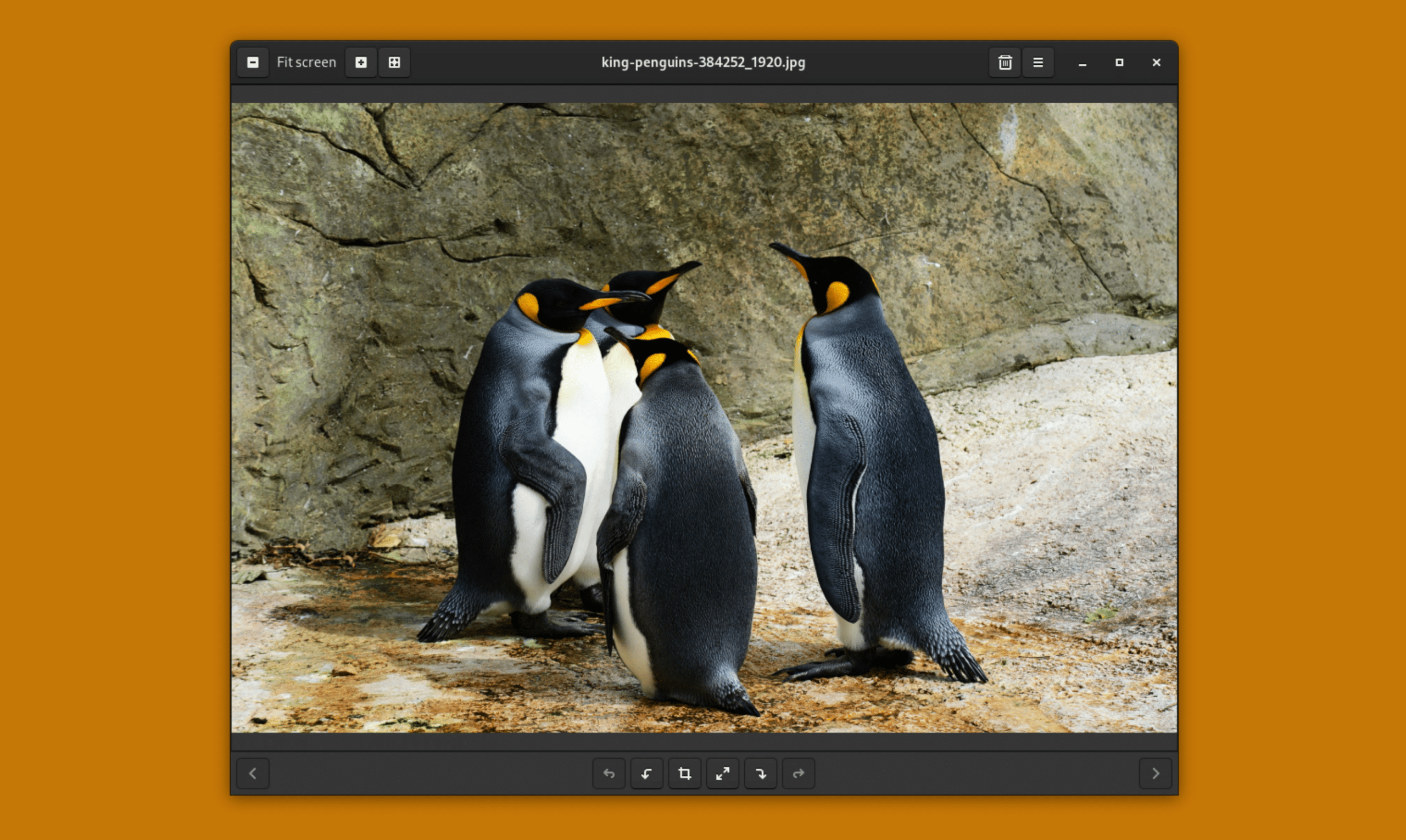 como-instalar-o-image-roll-no-ubuntu-fedora-debian-e-opensuse