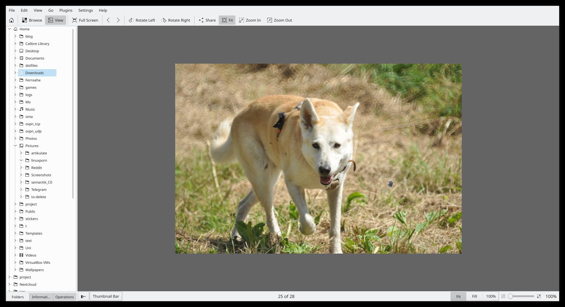 como-instalar-o-visualizador-de-imagens-gwenview-no-ubuntu-fedora-debian-e-opensuse