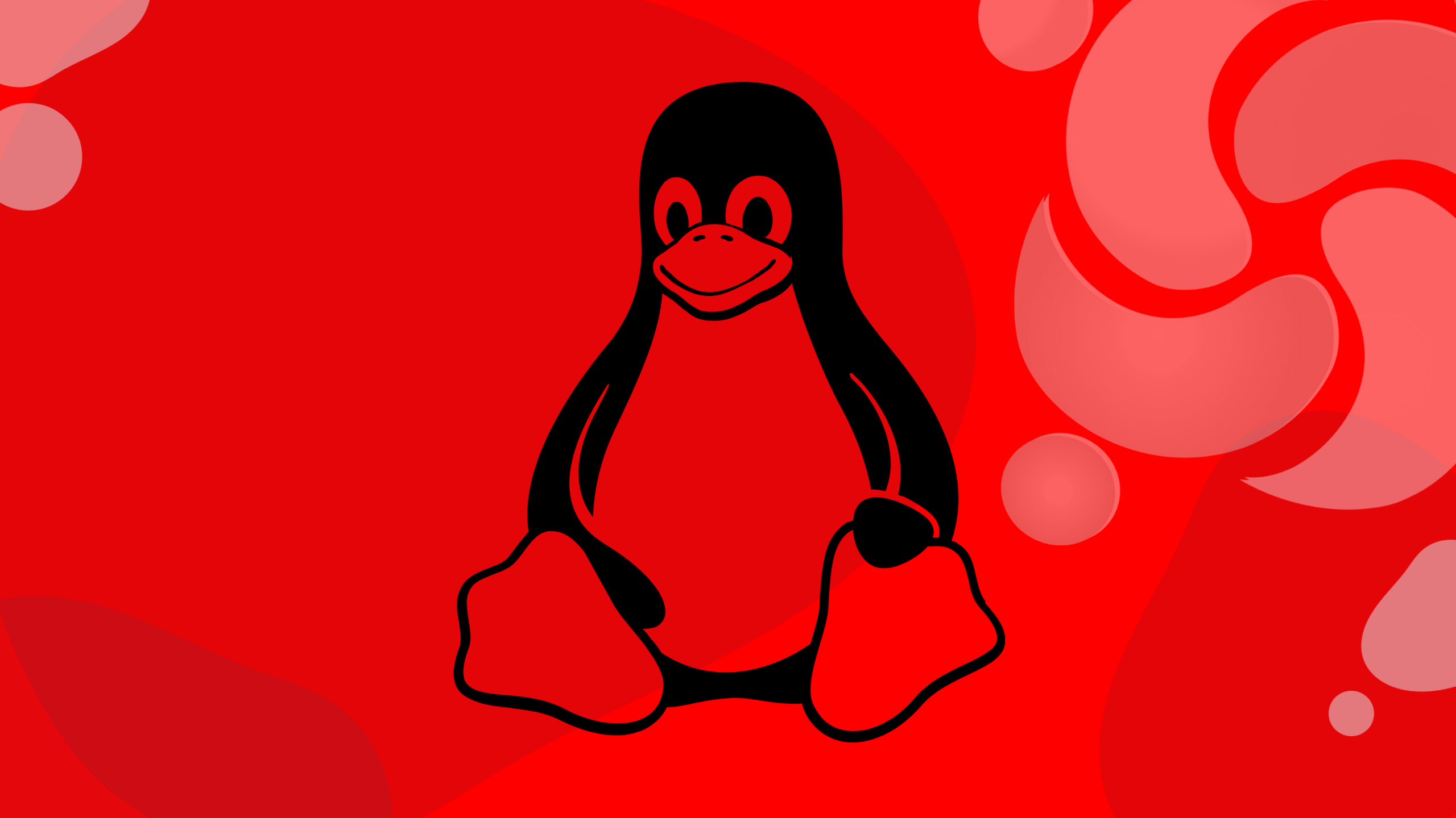 Nebulon cria proteção contra ransomware Linux bare-metal no bootloader
