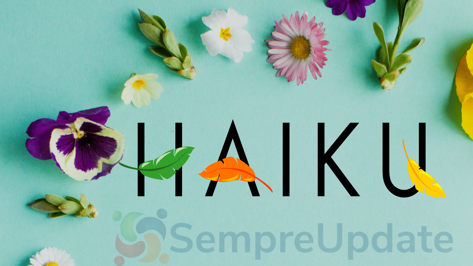 Haiku beta 4 está quase pronto para lançamento