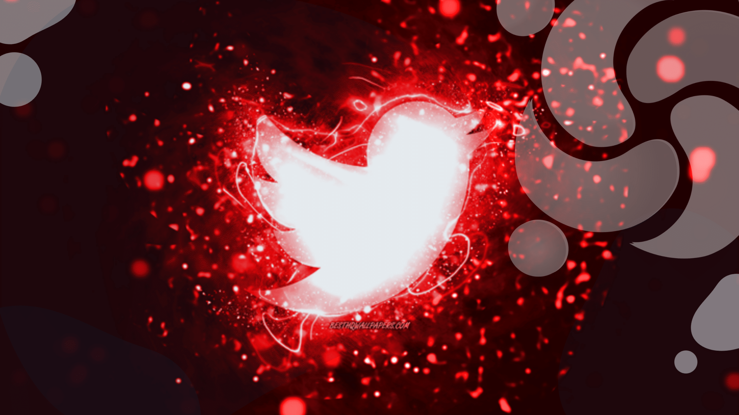 contas-que-compartilham-videos-da-ucrania-estao-sendo-suspensas-no-twitter