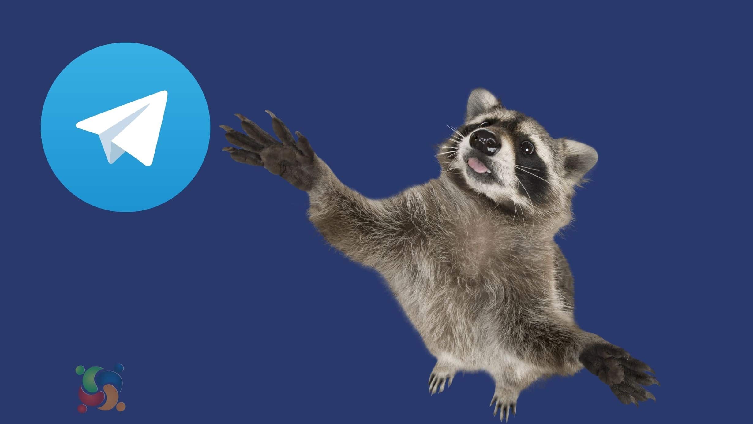 Raccoon Stealer usa Telegram para fazer novas vítimas