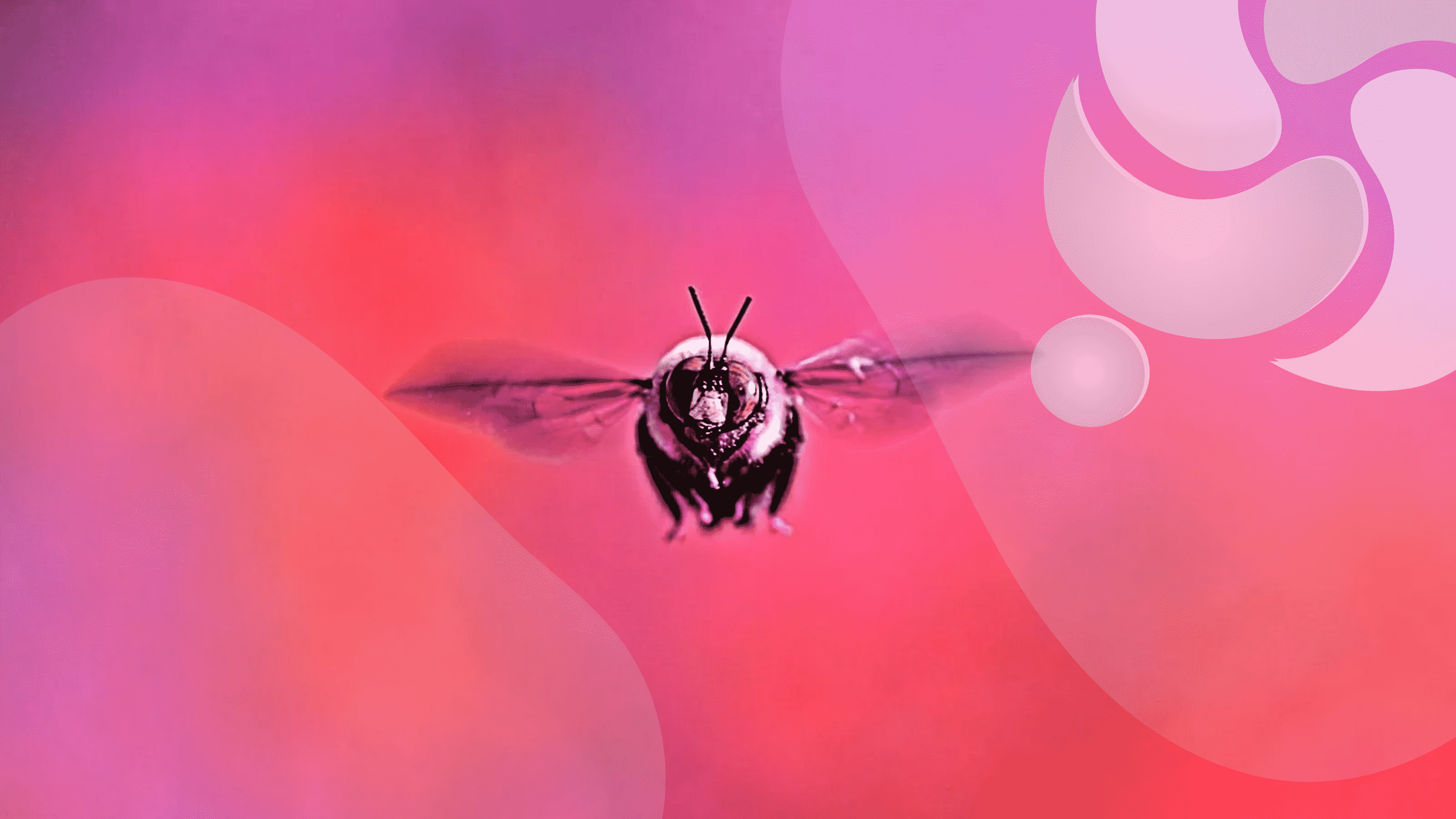 Imagem Bumblebee