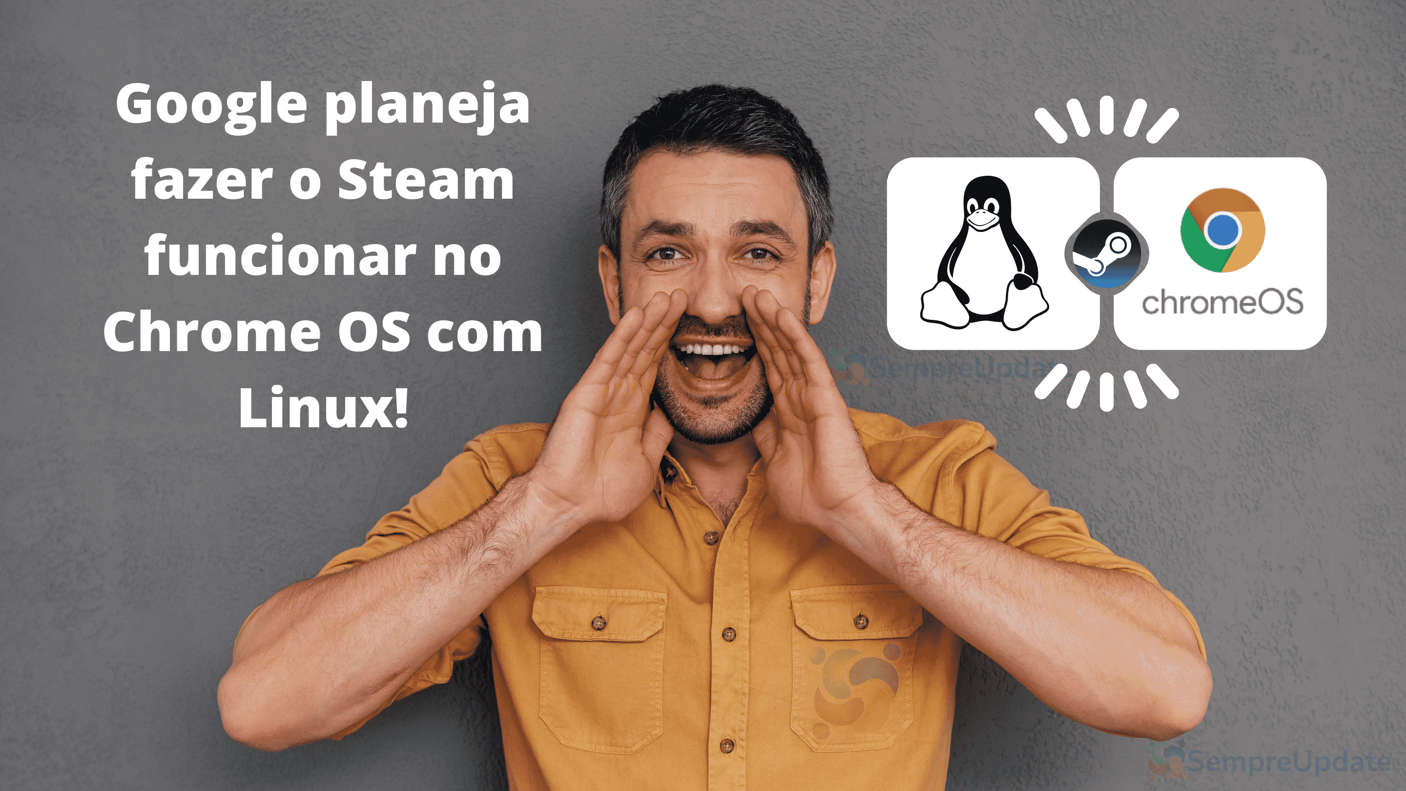 google-planeja-fazer-o-steam-funcionar-no-chrome-os-com-linux