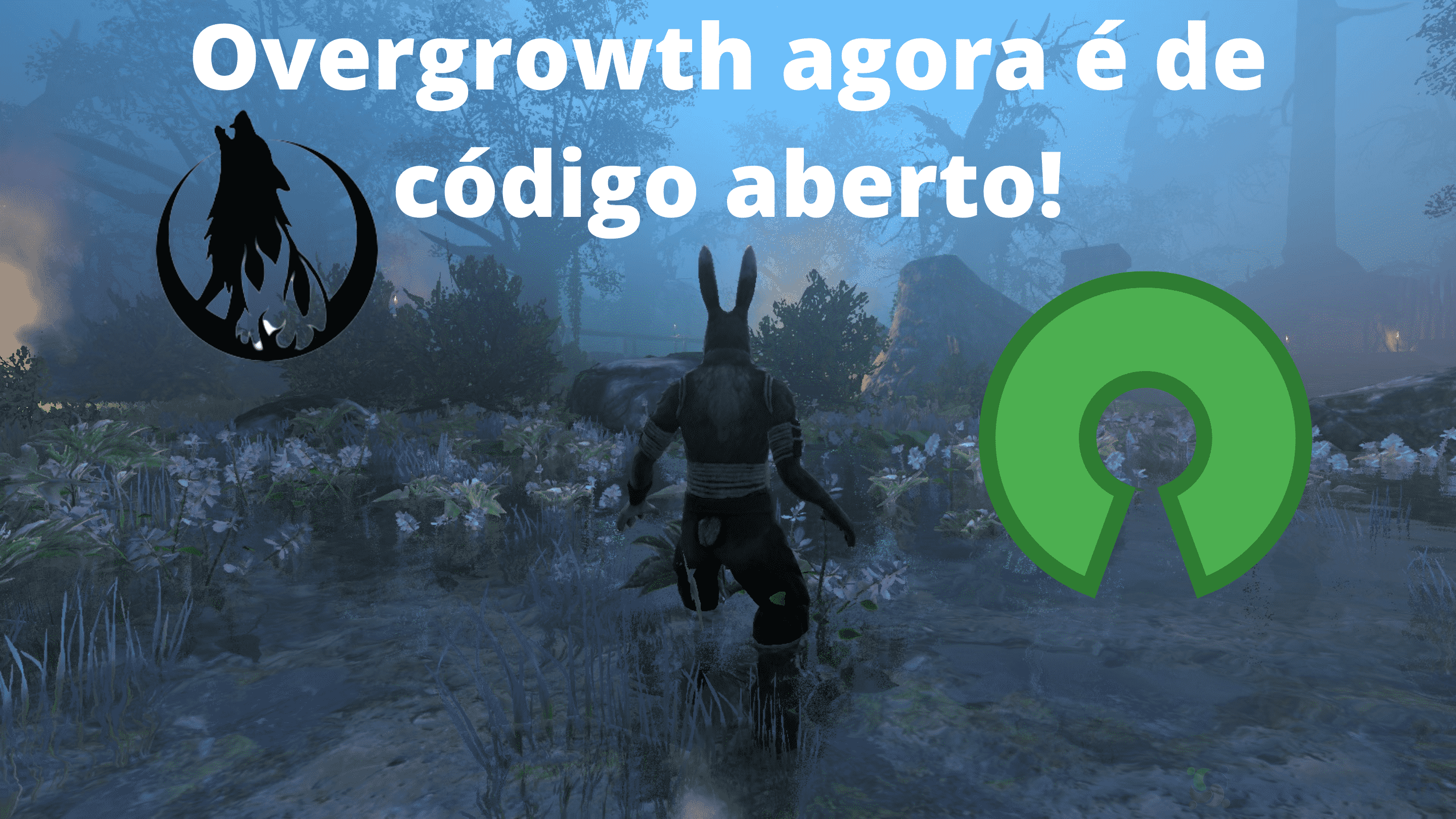 wolfire-games-abre-o-codigo-do-game-overgrowth-e-reduz-preco-overgrowth-agora-e-de-codigo-aberto