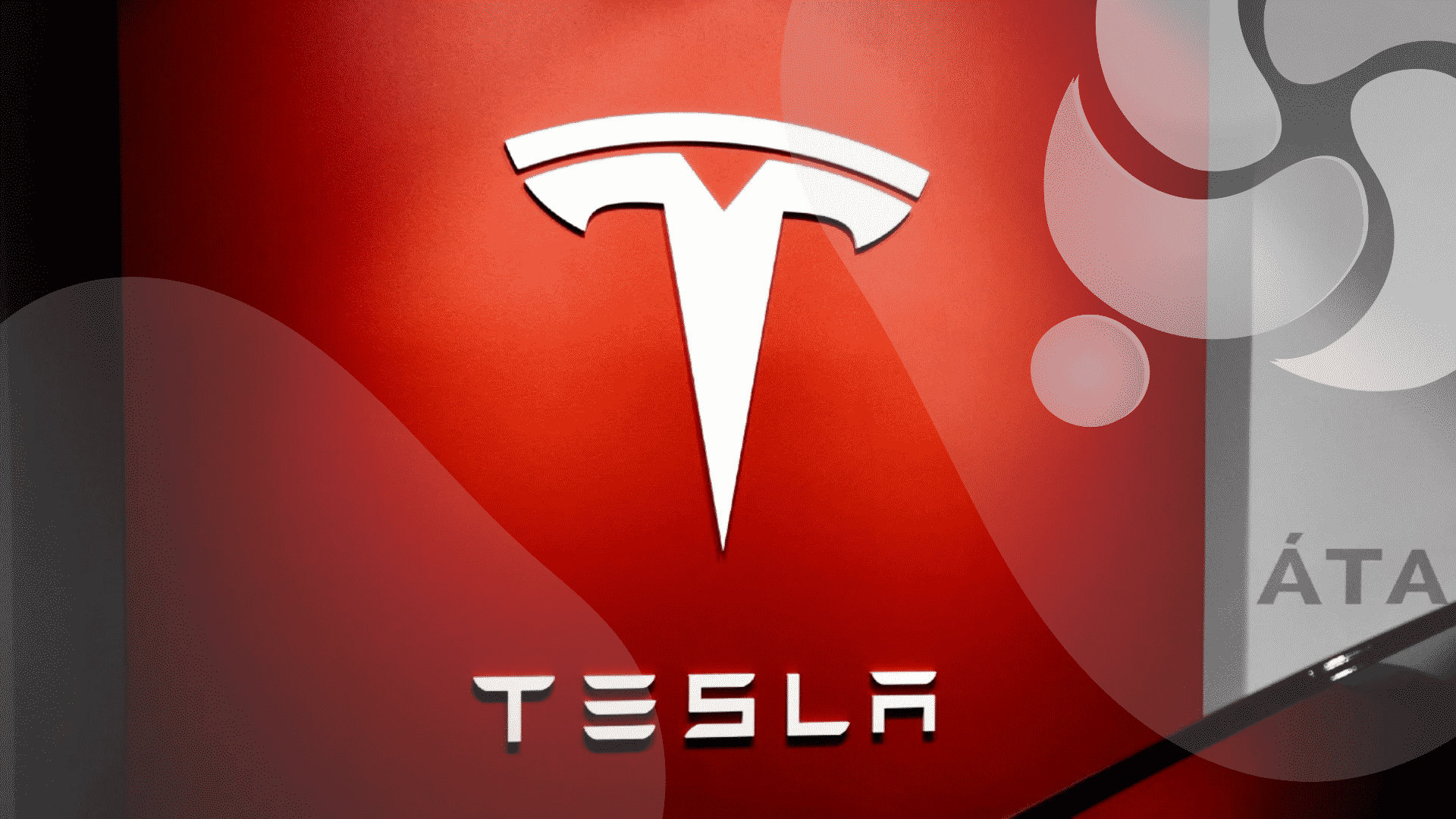 proprietario-de-um-tesla-se-desculpa-por-compartilhar-informacoes-falsas