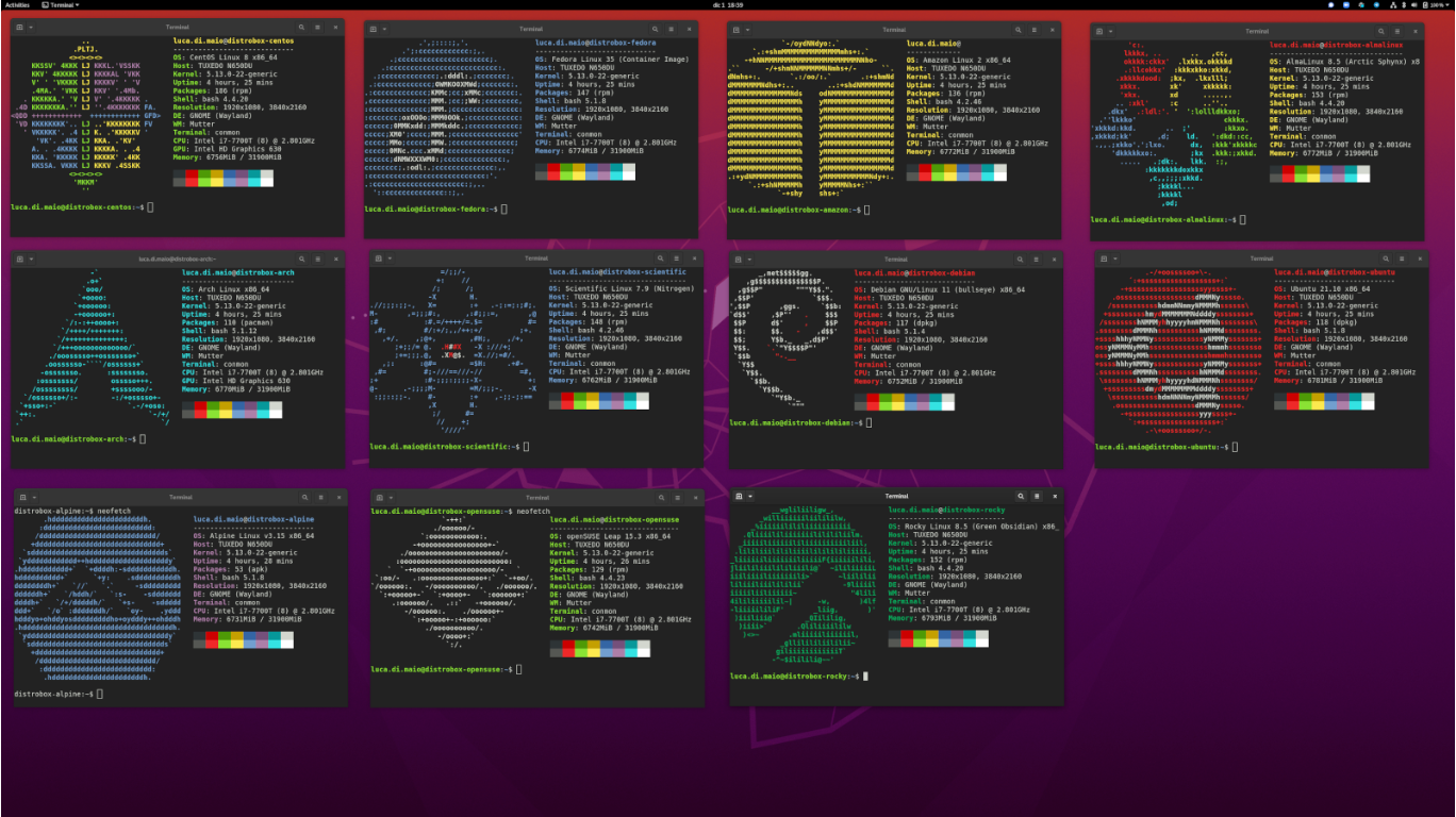 Distrobox 1.6 facilita lançamento de novas distribuições em seu terminal