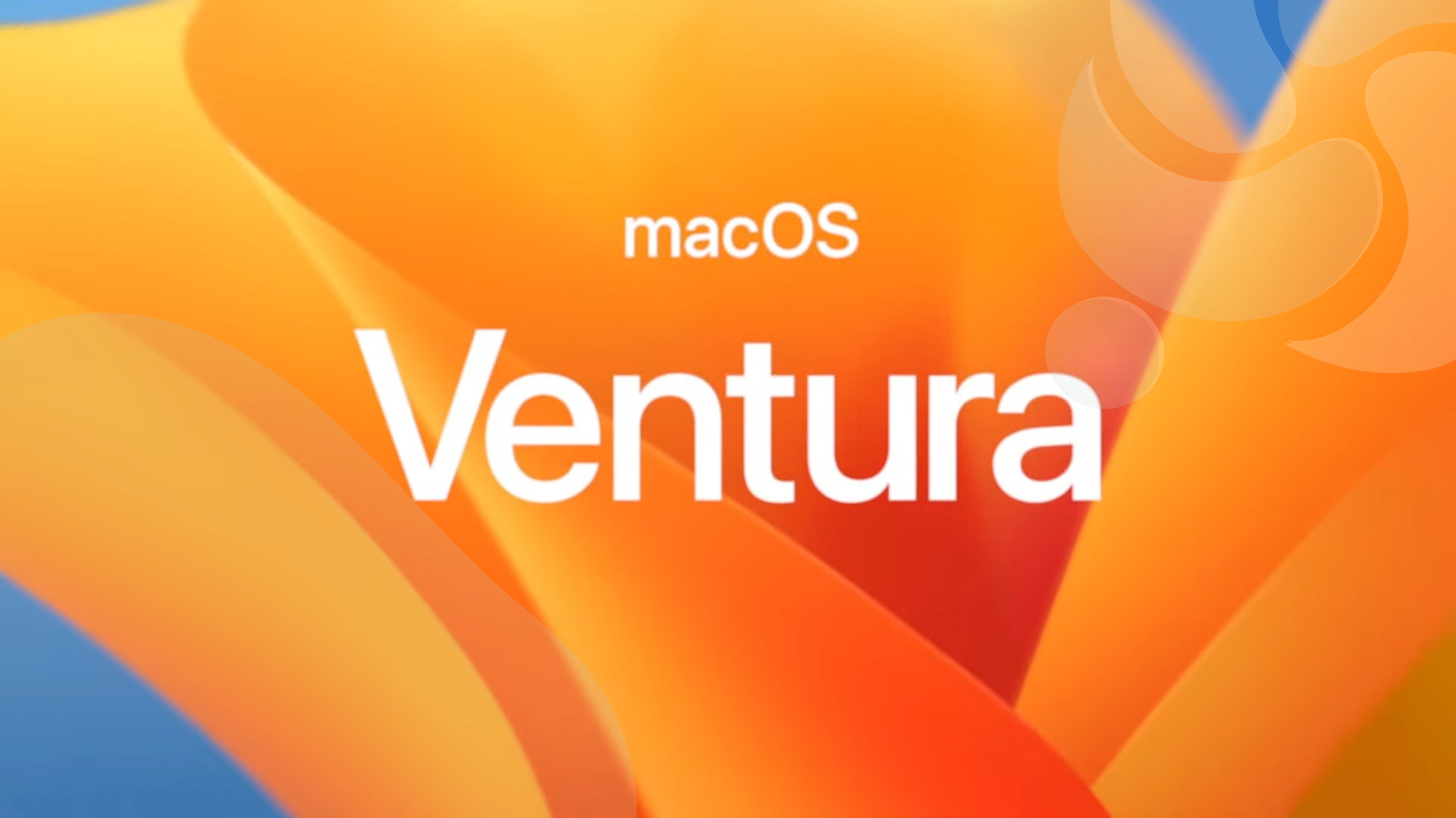 o-macos-ventura-permitira-que-vms-linux-executem-aplicativos-intel-com-rosetta