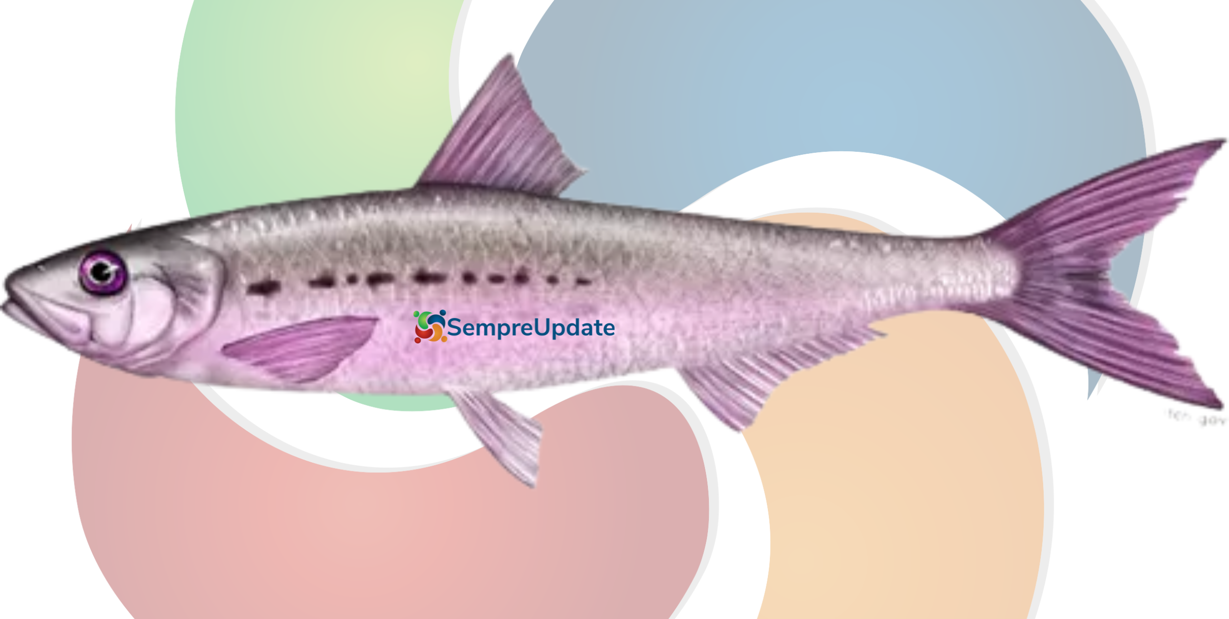 AMD publica driver de áudio Linux para o "Pink Sardine"