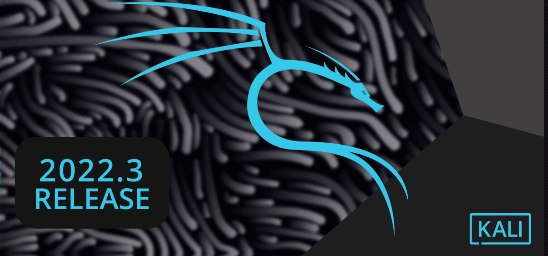 Kali Linux 2022.3 lançado com Linux 5.18