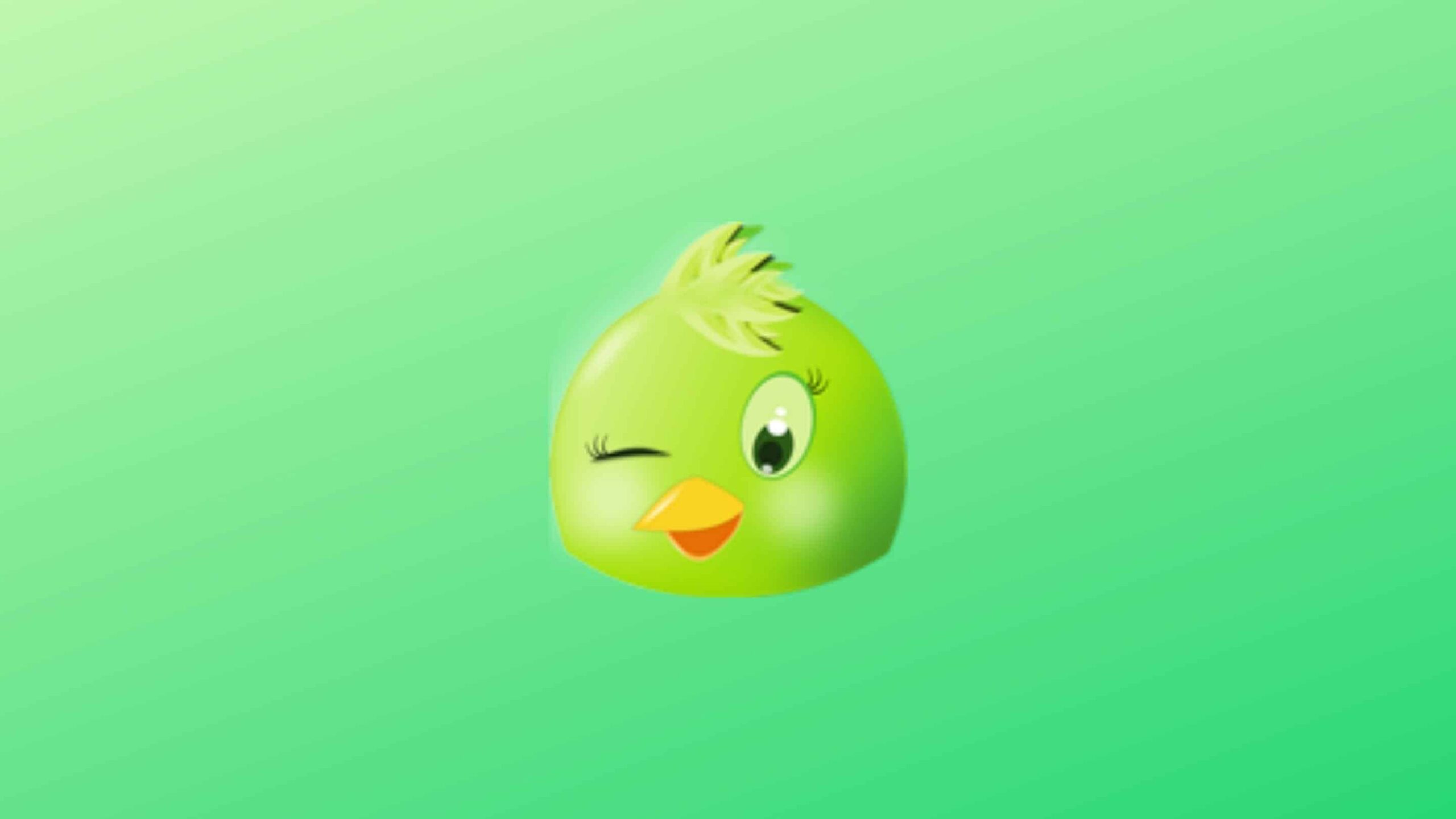 como-instalar-o-microblog-choqok-no-linux