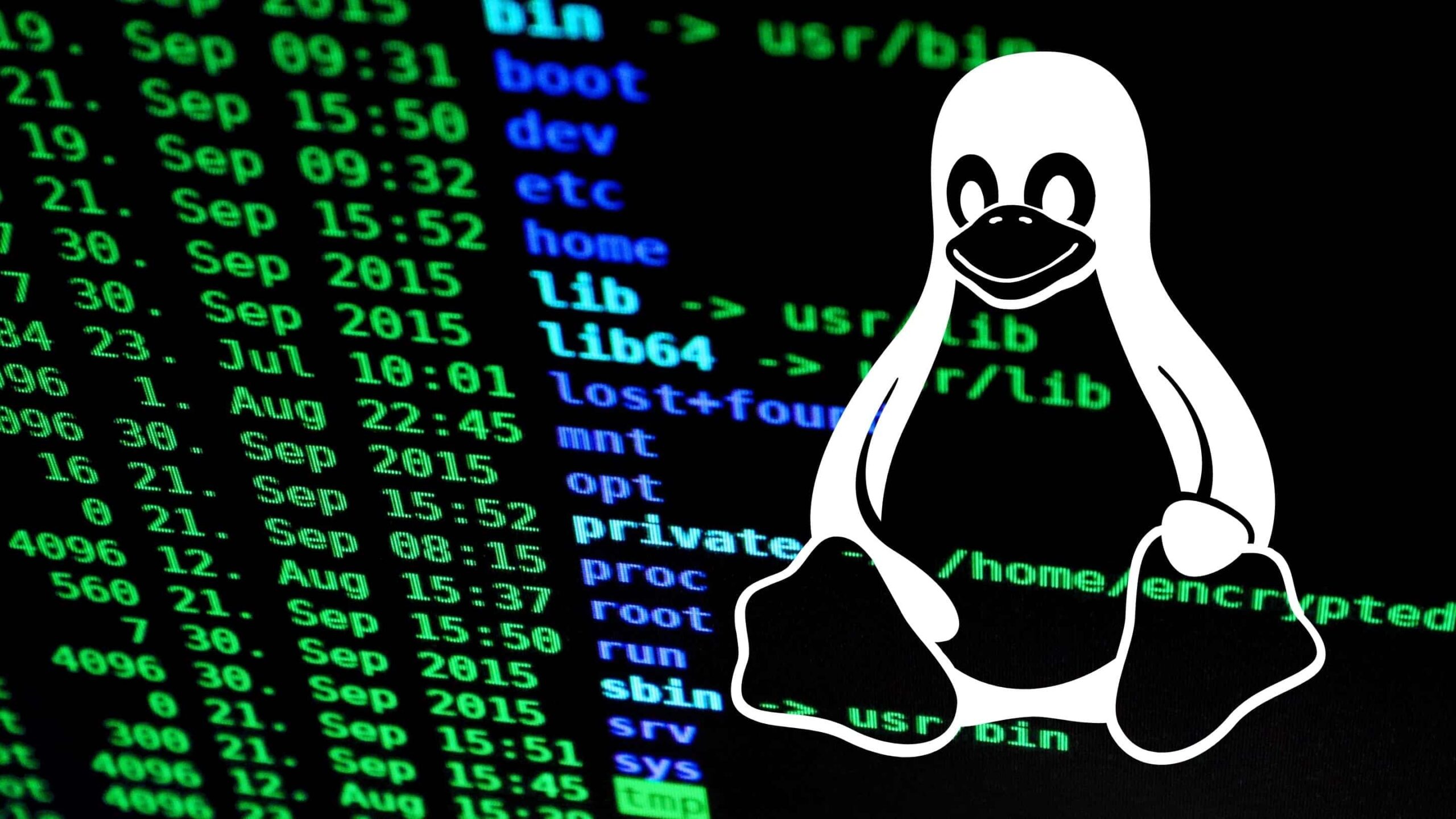 Chainguard lança distribuição Linux Wolfi