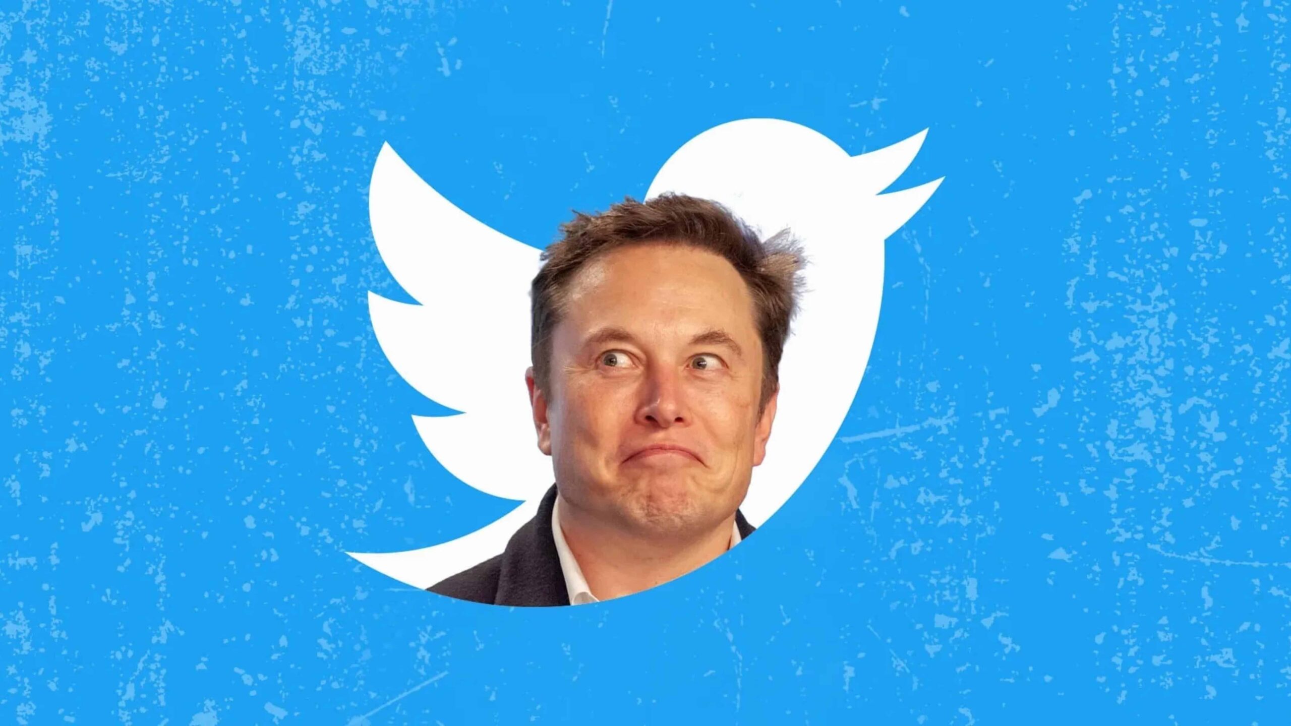 elon-musk-vence-batalha-contra-ex-funcionarios-demitidos-do-twitter