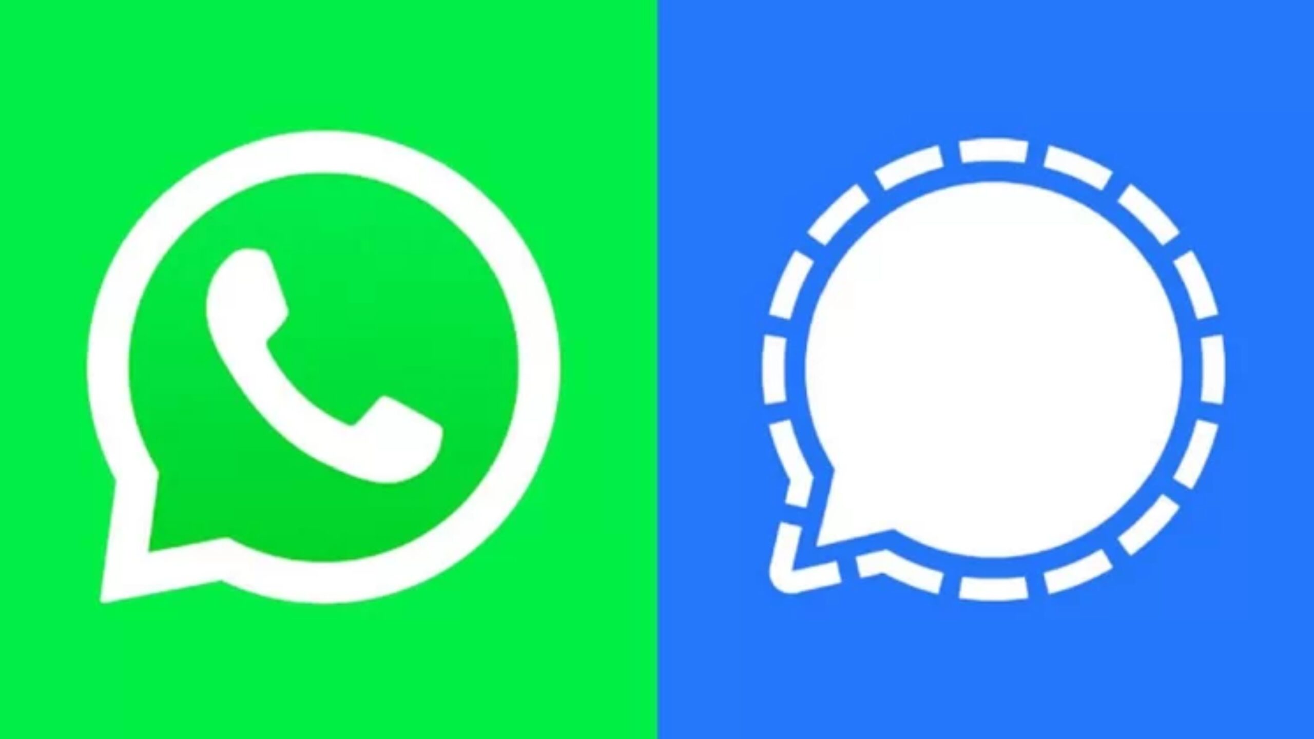 quem-e-mais-seguro-o-signal-ou-o-whatsapp