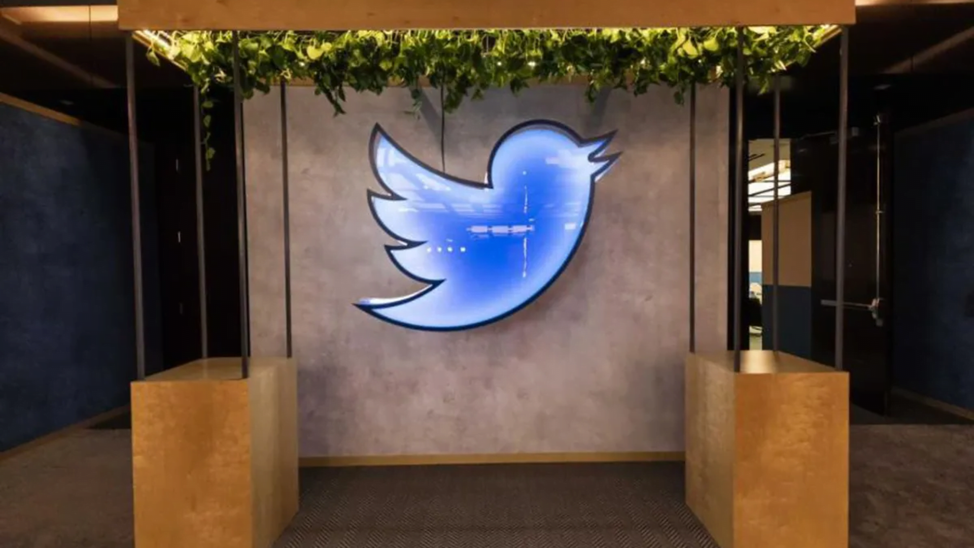 Pesquisadores de universidades agora devem pagar pelo acesso à API do Twitter