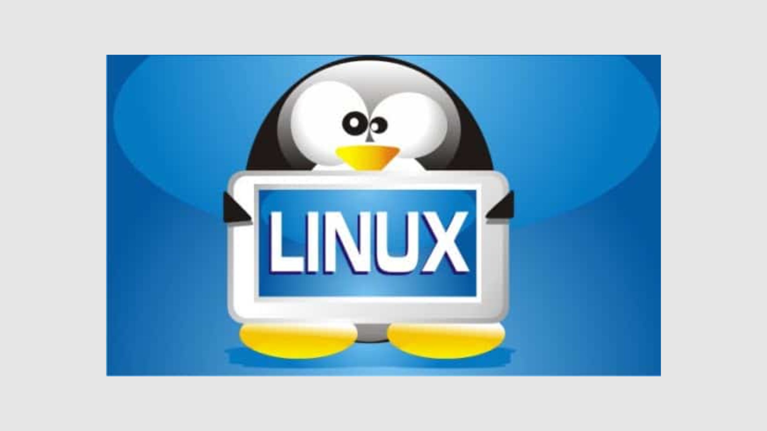 ferramentas-linux-essenciais-para-estudantes-e-professores