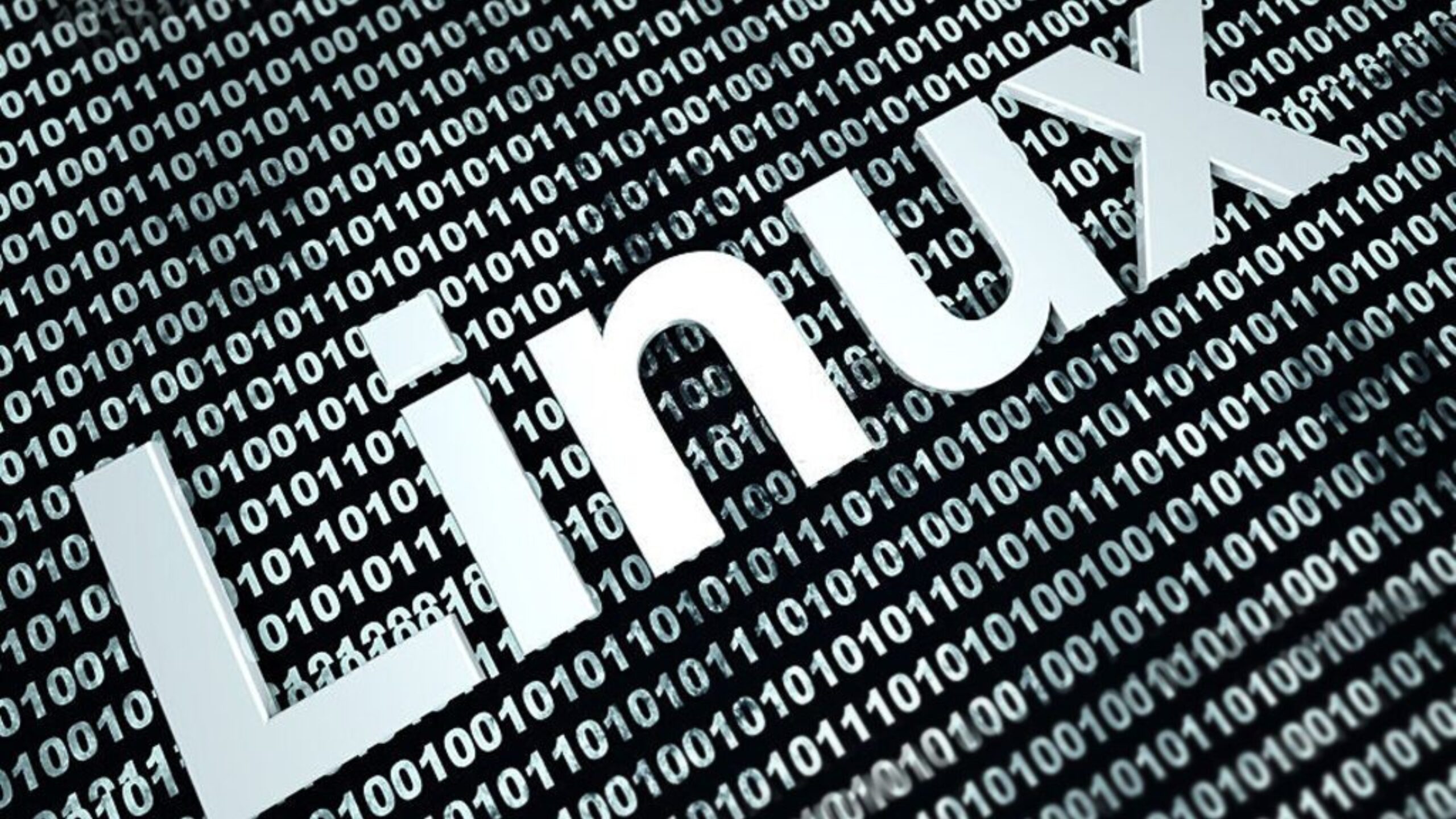 Conheça 7 distribuições Linux quase desconhecidas que brilharam em 2023