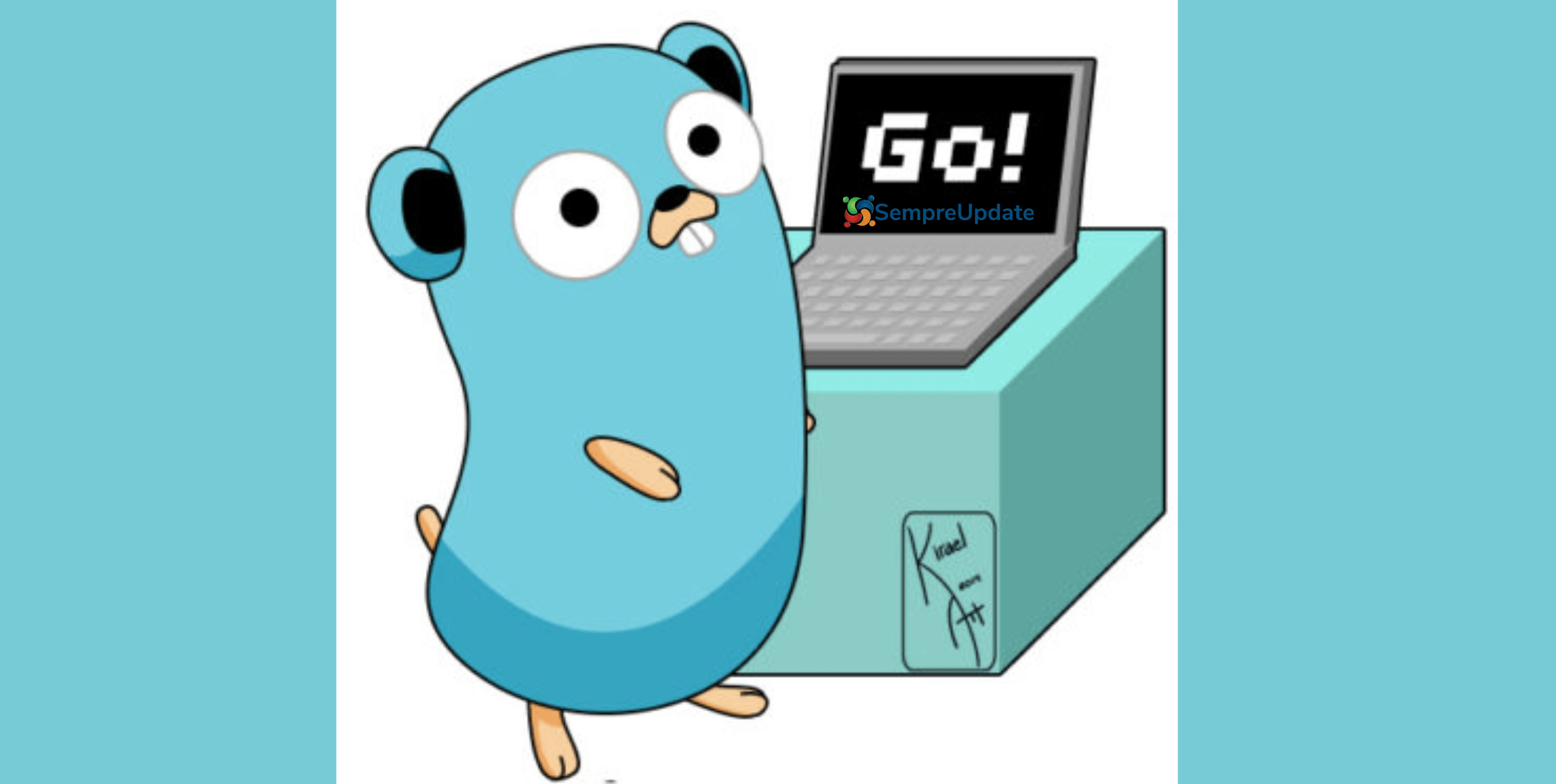 Go 1.20 chega com suporte PGO experimental