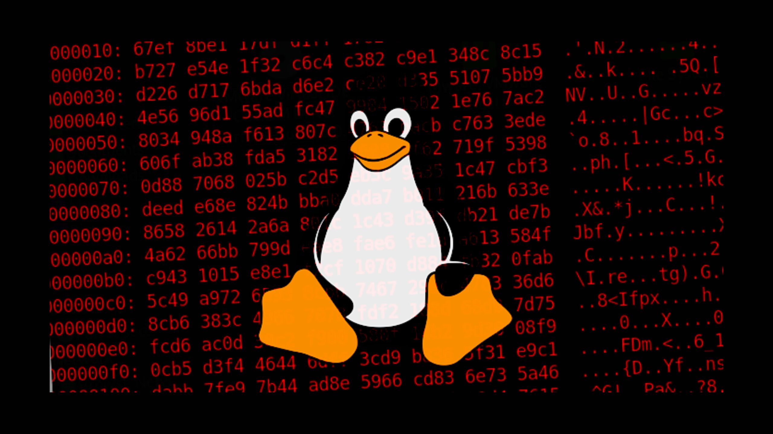 ransomware-icefire-agora-criptografa-os-sistemas-linux-tambem