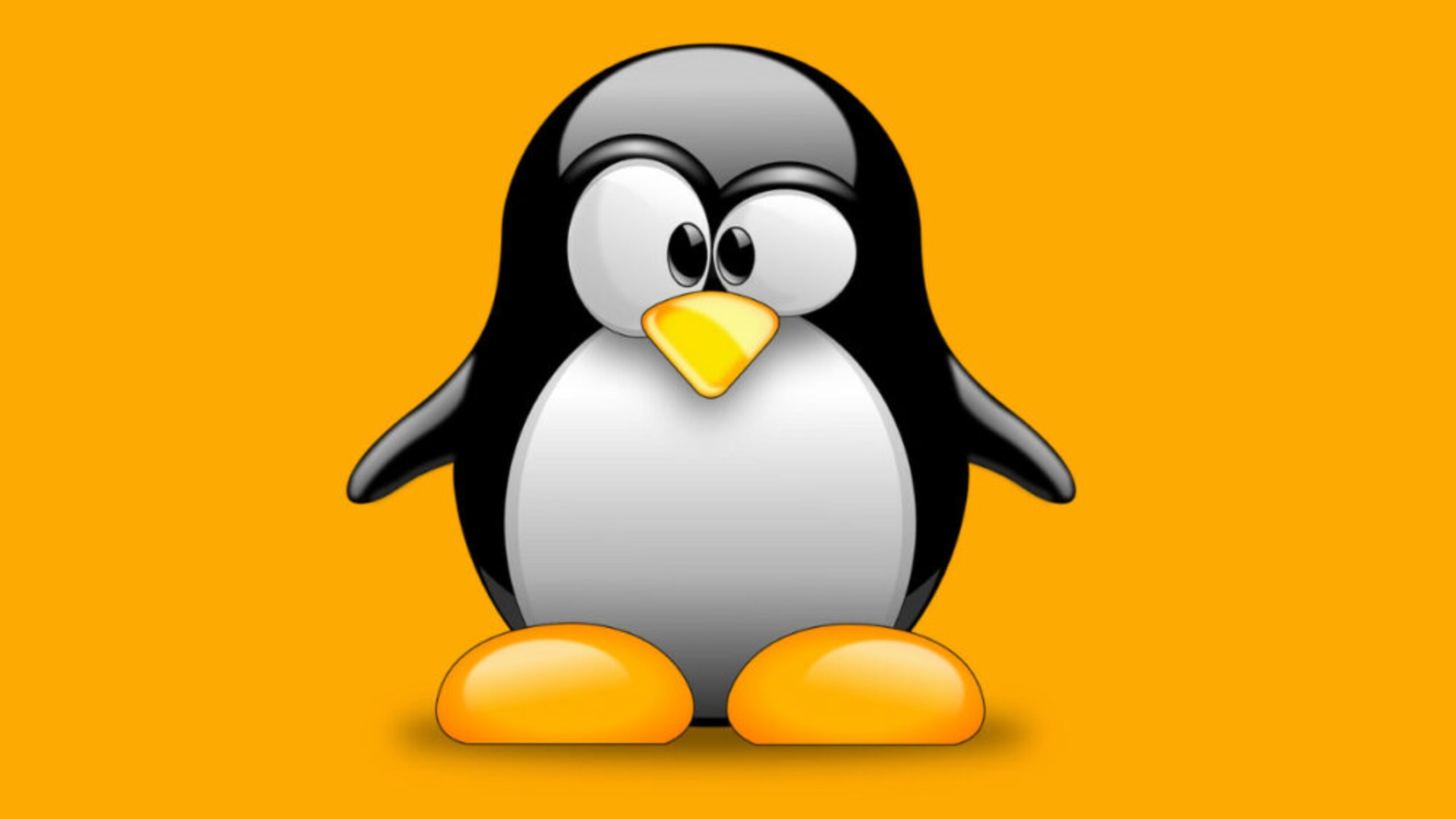 5-excelentes-programas-de-software-livre-e-de-codigo-aberto-para-linux