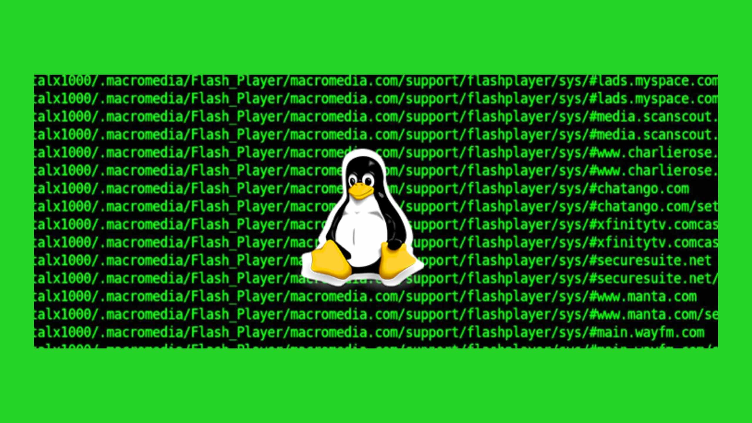 Principais variáveis shell Linux