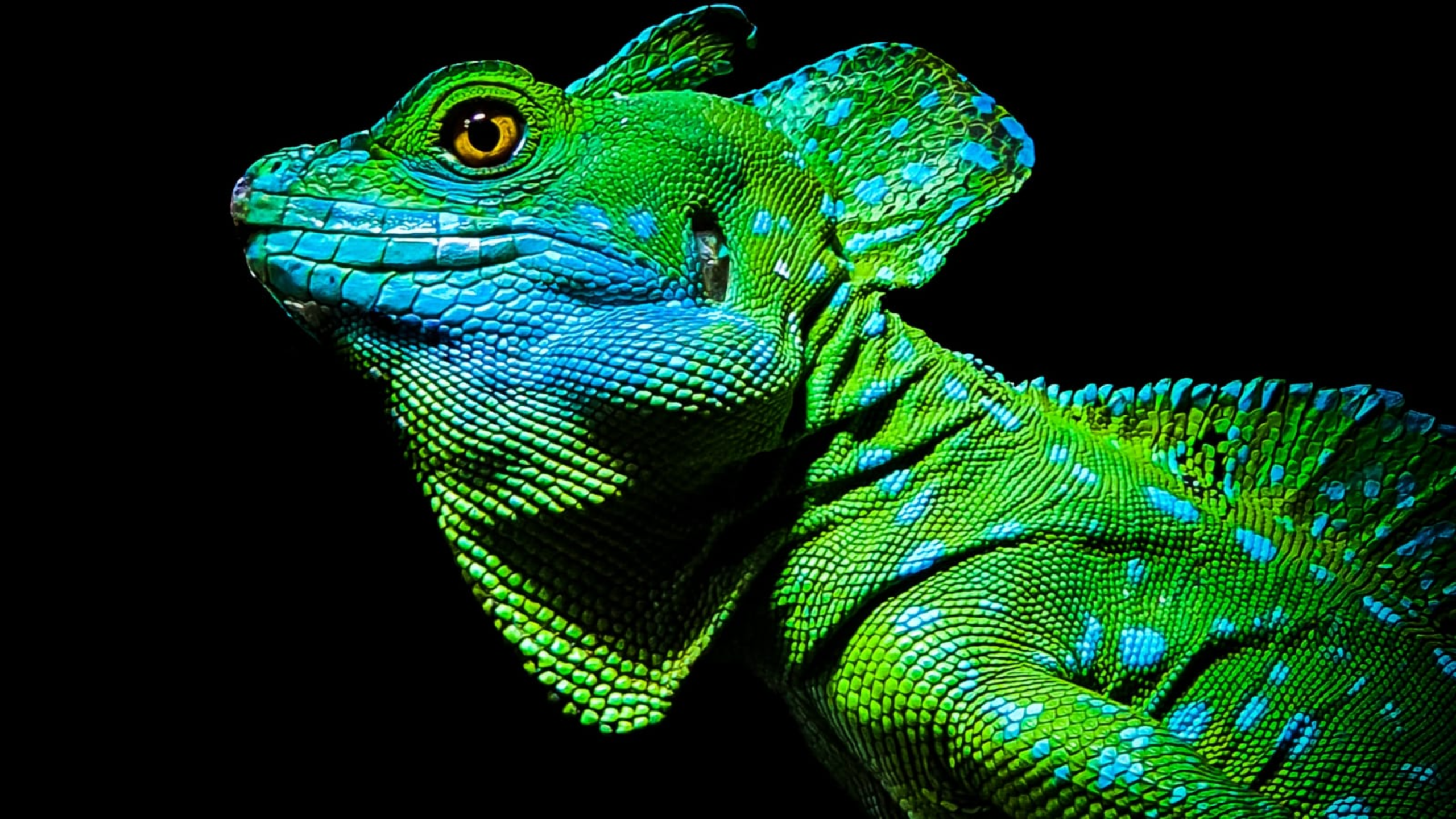 novo-malware-android-chameleon-imita-aplicativos-bancarios-governamentais-e-criptograficos