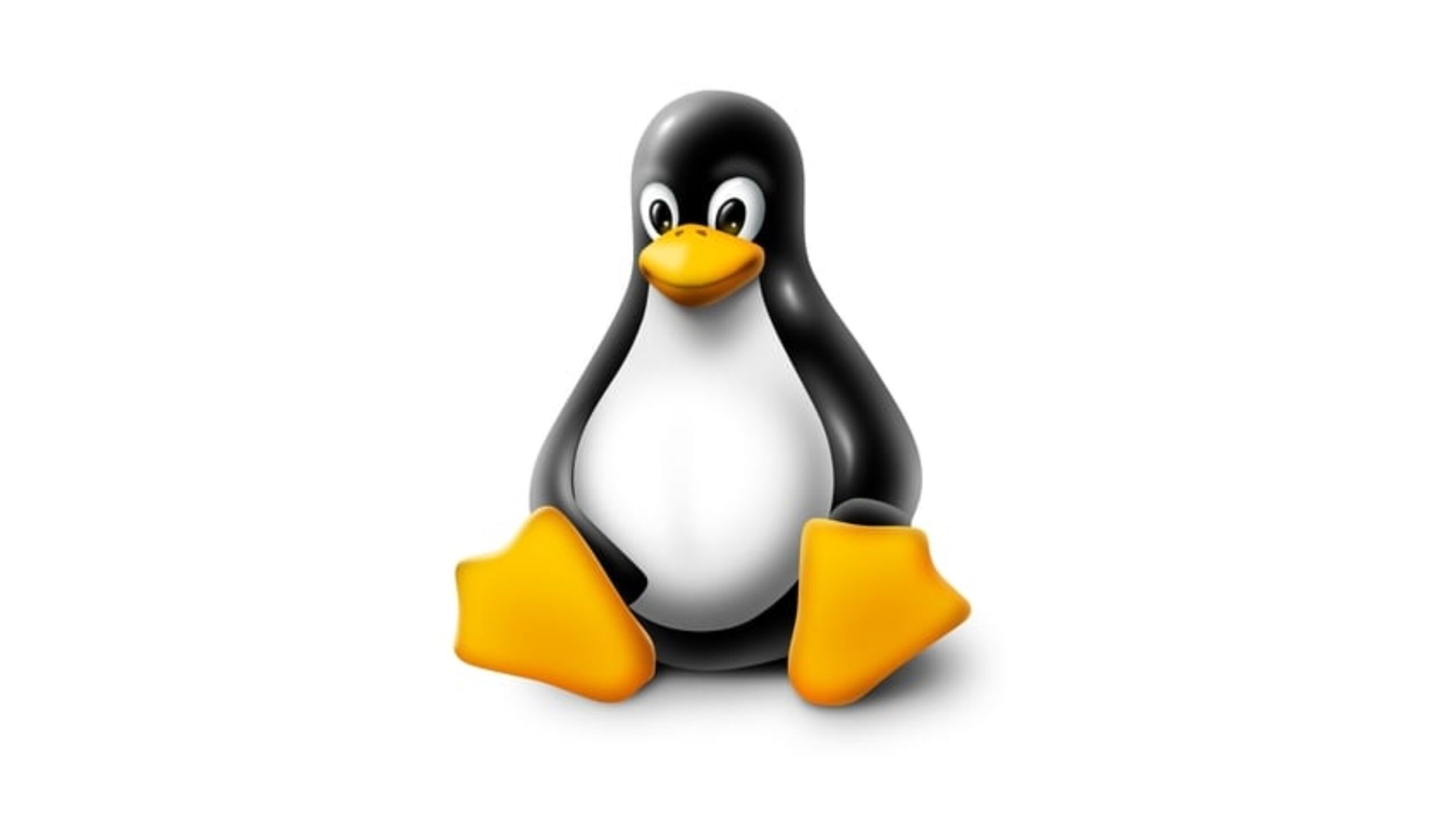 Imagem do Tux Linux