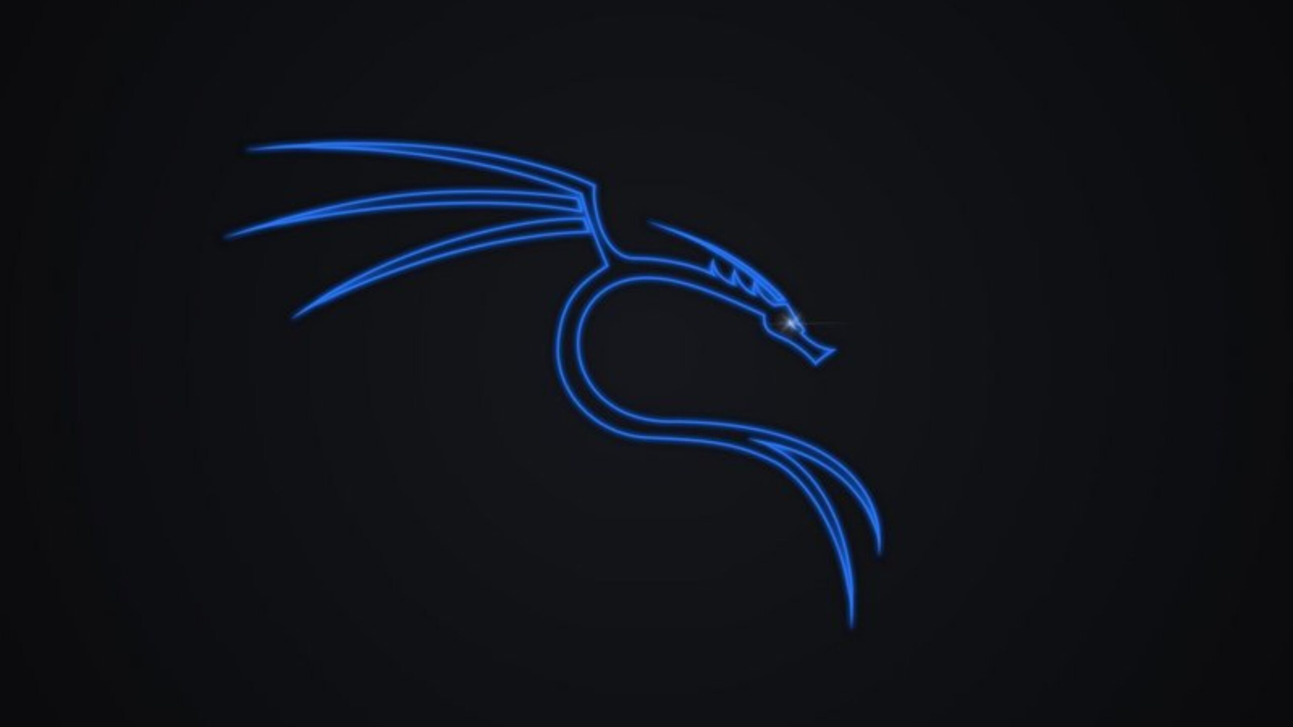 Distribuição Kali Linux 2024.1 chegou com Linux 6.6 LTS e novo visual