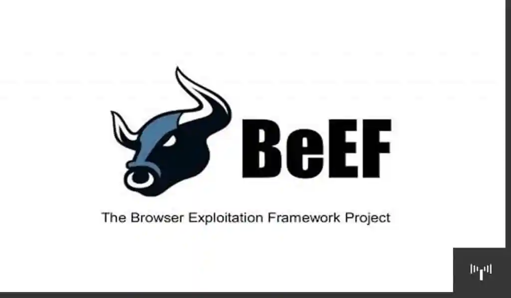 beef