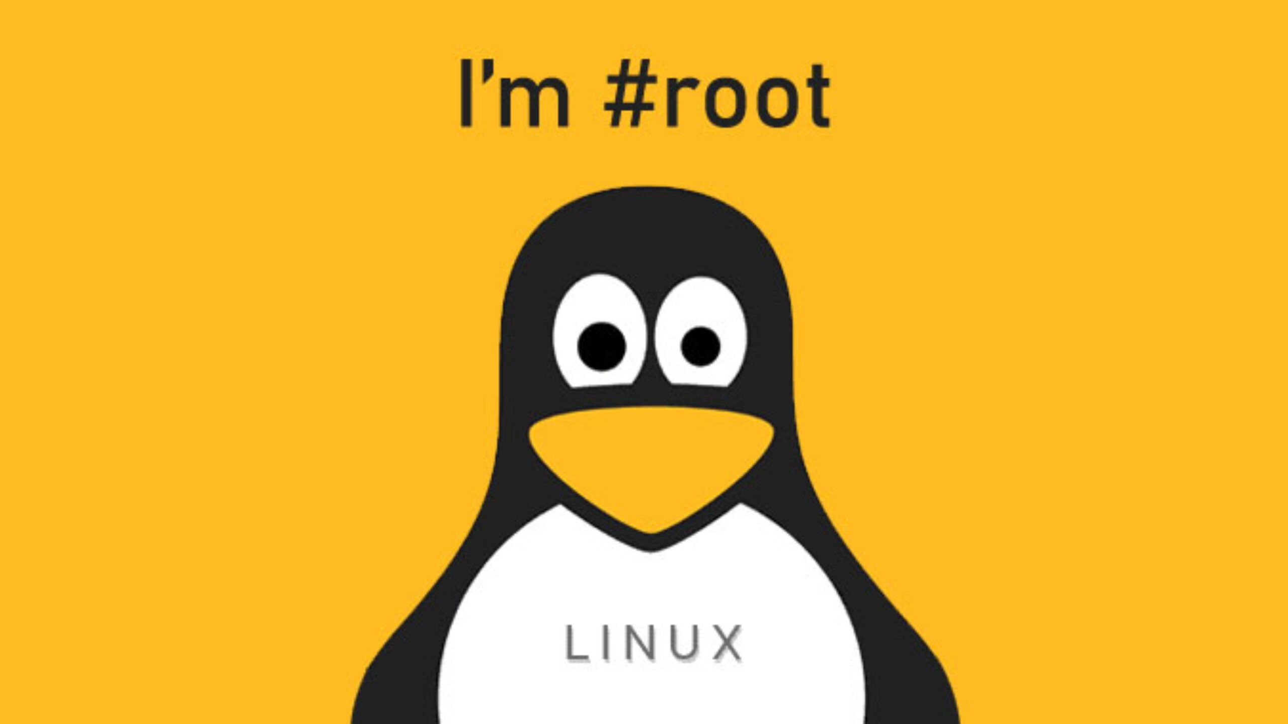 Sistema quebrou? Veja como salvar as configurações do seu desktop Linux caso algo dê errado