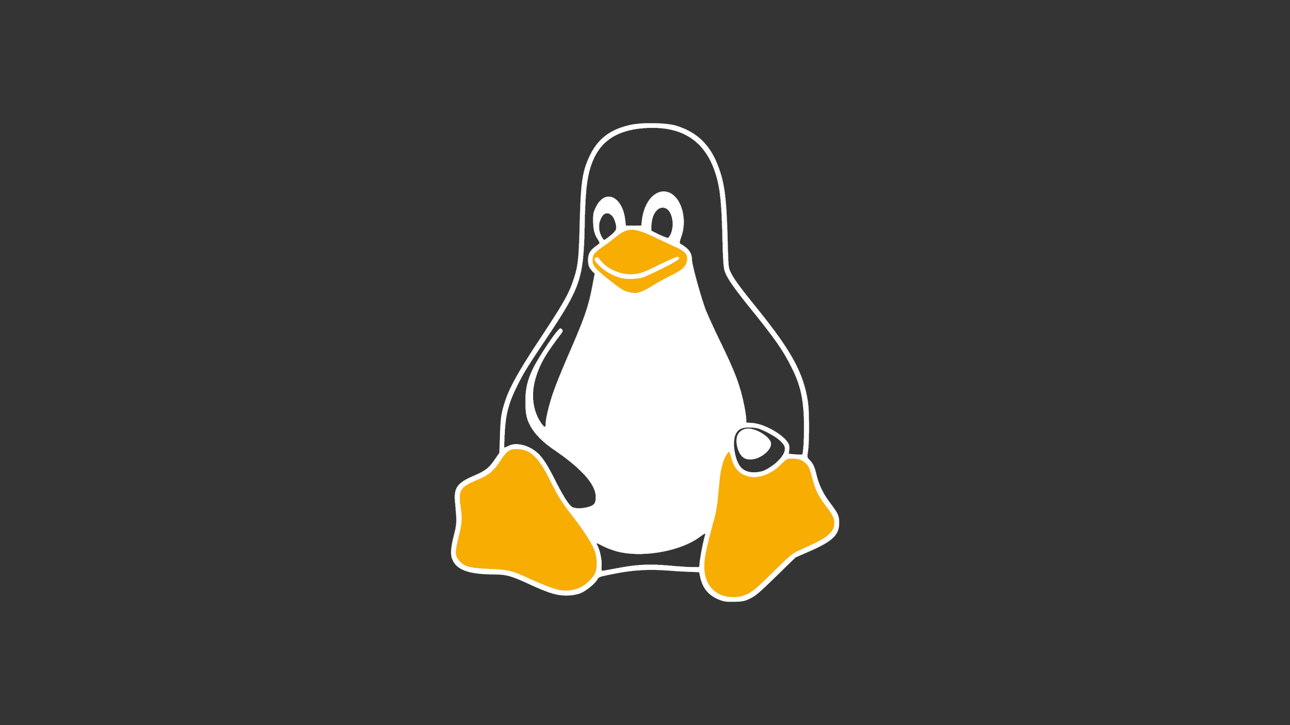 fundo preto com a logo do tux mascote do linux remetendo aos comandos do linux no terminal